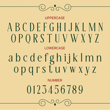 holy-garland-christmas-serif-font-rasio-std-2.png