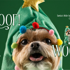 holy-garland-christmas-serif-font-rasio-std-7.png