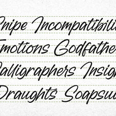 hopstely-script-stylish-handwritten-font-blankids-3.jpg