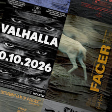 Horror Movie Posters Collection