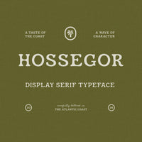 Hossegor - Retro Surf Serif Display