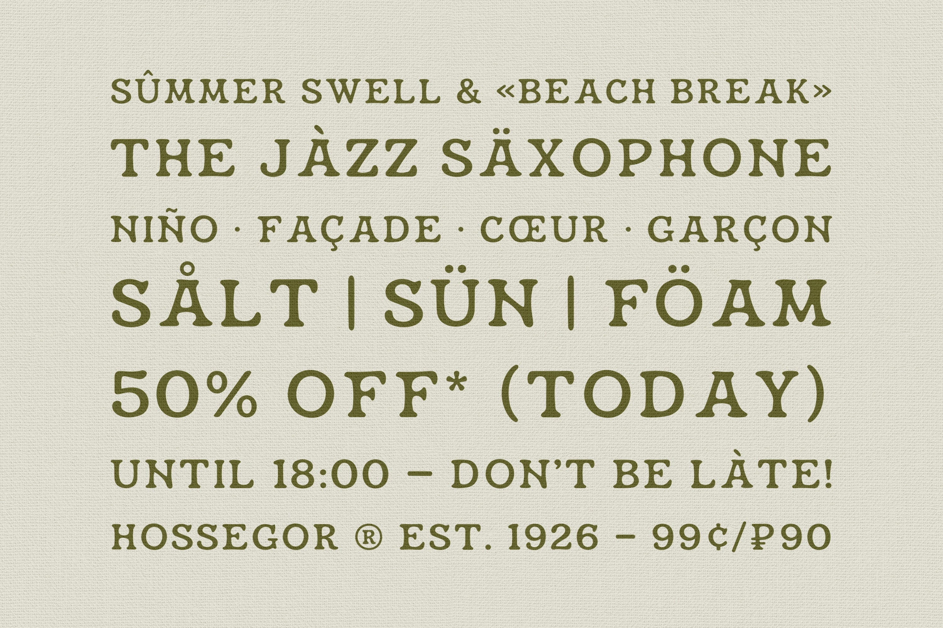 hossegor-retro-surf-serif-display-pixelbuddha-5.jpg