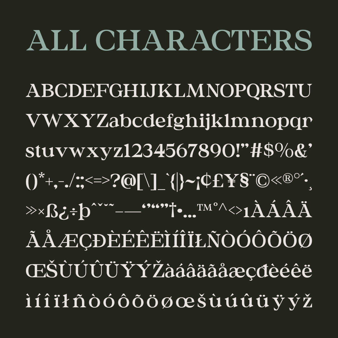 hourdy-serif-typeface-craft-supply-co-8.jpg