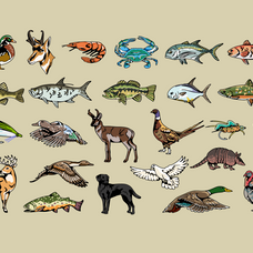 hunting-fishing-animal-illustration-skilline-supply-co-2.png