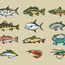 hunting-fishing-animal-illustration-skilline-supply-co-3.png