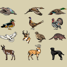 hunting-fishing-animal-illustration-skilline-supply-co-4.png