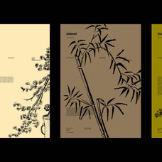 Ikebana Botanical Illustration Set