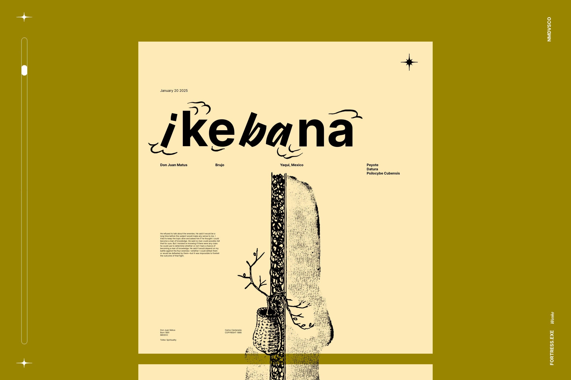 Ikebana Botanical Illustration Set