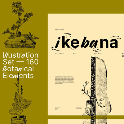 Ikebana Botanical Illustration Set