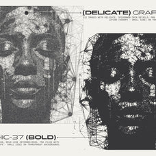 Interlace. 244 Spiderweb Graphics