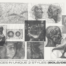 Interlace. 244 Spiderweb Graphics
