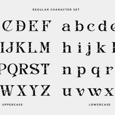 inword-unique-display-serif-font-say-studio-11.png