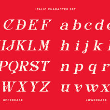 inword-unique-display-serif-font-say-studio-12.png