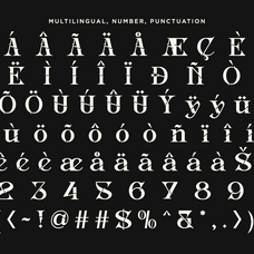 inword-unique-display-serif-font-say-studio-13.png