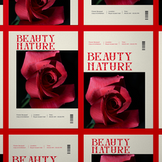 inword-unique-display-serif-font-say-studio-2.png