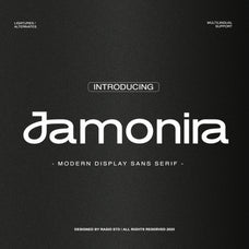 jamonira-modern-display-sans-serif-font-rasio-std-1.jpg