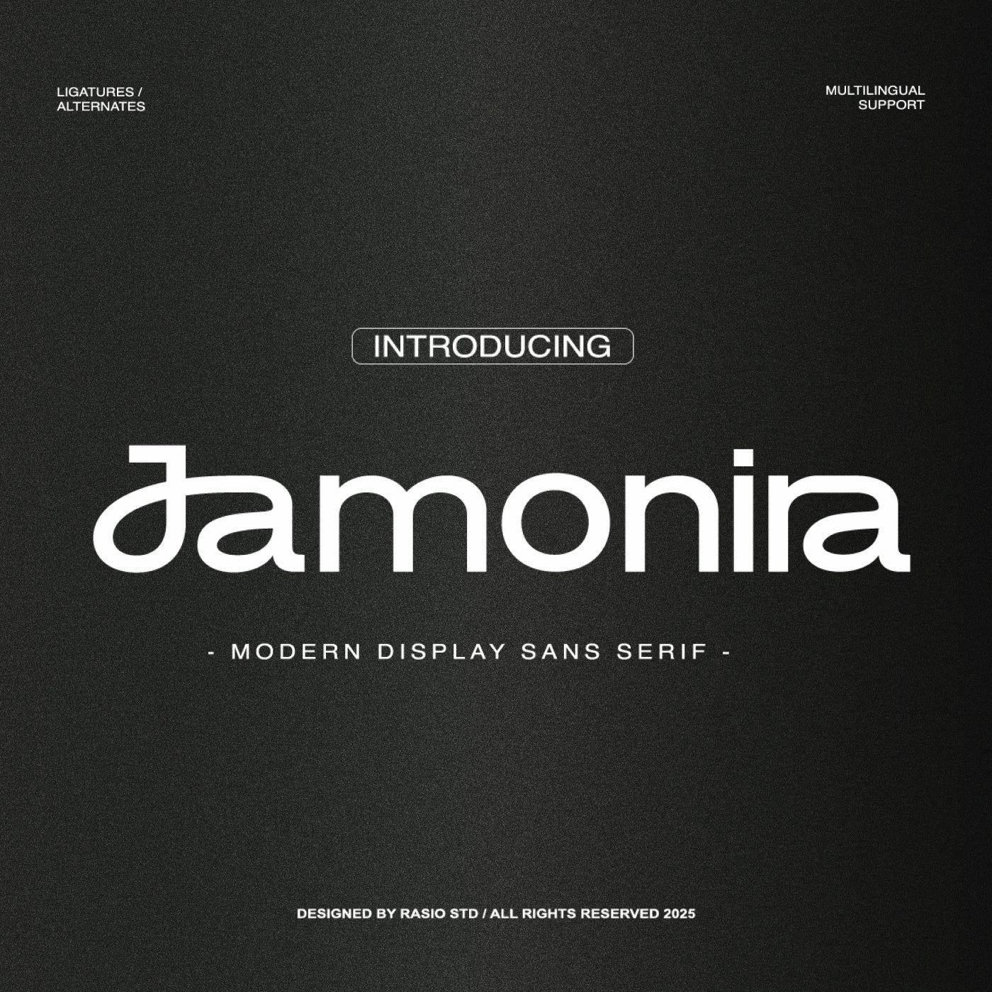 jamonira-modern-display-sans-serif-font-rasio-std-1.jpg