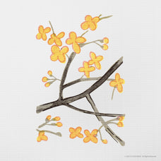 japanese-flower-illustrations-gfx-database-3.jpg