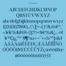 jevale-classic-serif-craft-supply-co-8.jpg