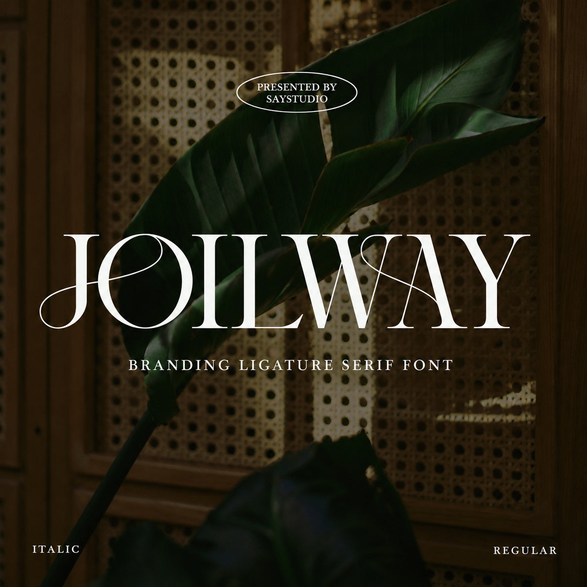 joilway-luxury-ligature-serif-font-say-studio-1.png
