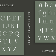 joilway-luxury-ligature-serif-font-say-studio-10.png