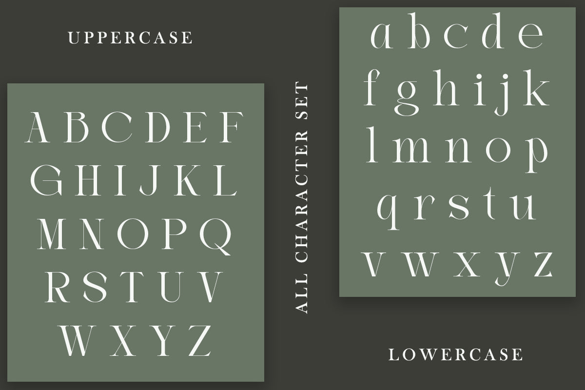 joilway-luxury-ligature-serif-font-say-studio-10.png