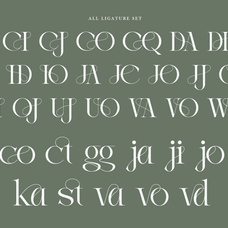 joilway-luxury-ligature-serif-font-say-studio-11.png