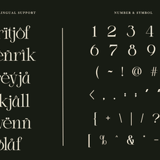 joilway-luxury-ligature-serif-font-say-studio-12.png