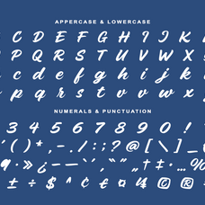 jollira-ralenia-brush-script-display-font-rasio-std-2.png