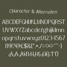 jovencua-elegant-serif-font-vadova-studio-2.png