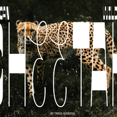 jt-bloore-reverse-contrast-headline-font-unknown-creator-9.png