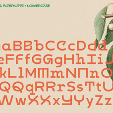 kabog-modern-classic-font-enxyclo-studio-12.png