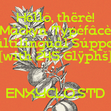 kabog-modern-classic-font-enxyclo-studio-15.png