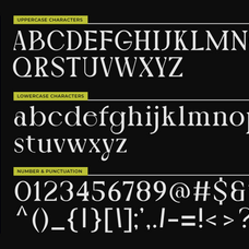 kaiyote-contemporary-serif-sixtysix-labs-studio-10.png