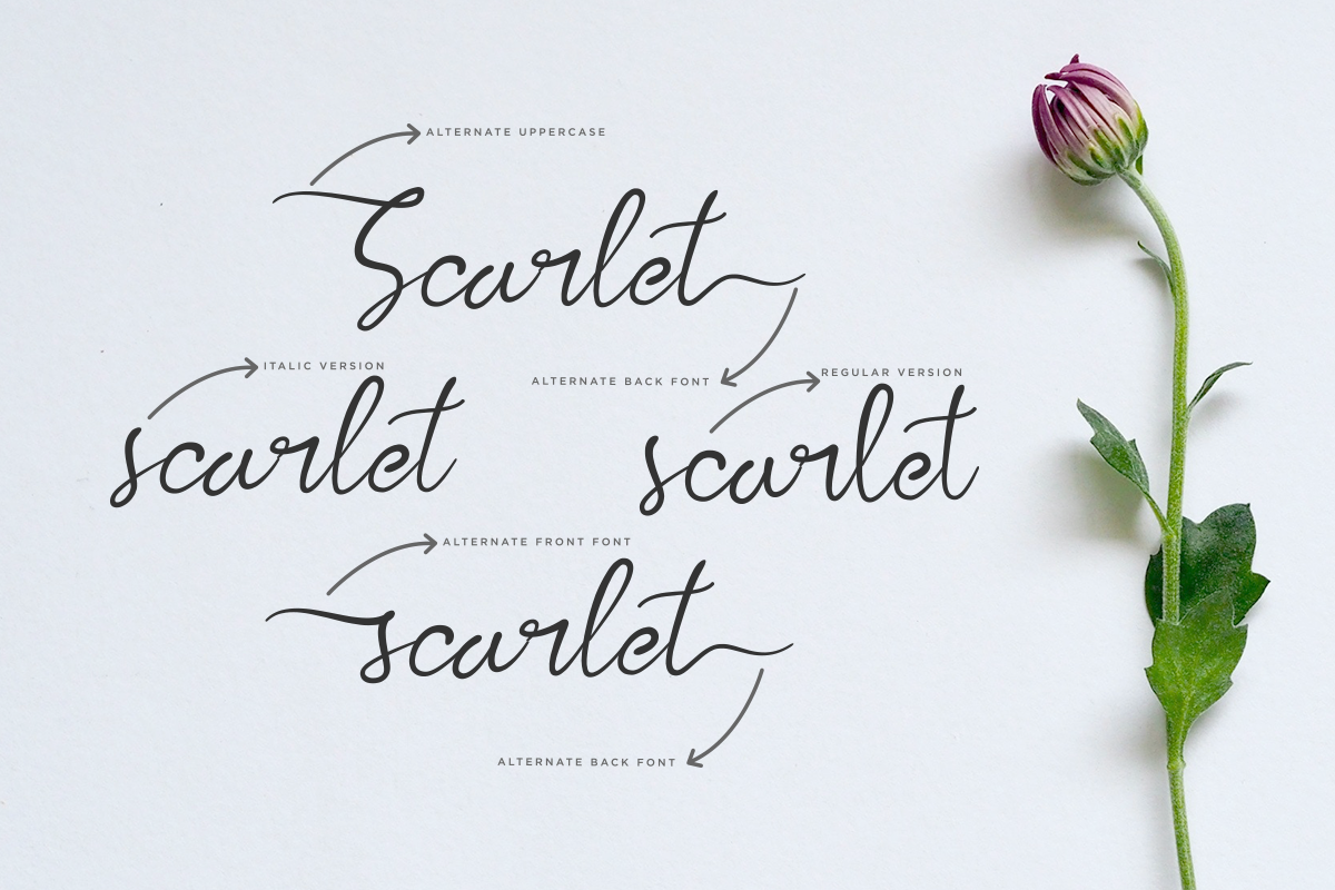kalila-lovely-script-font-say-studio-6.png