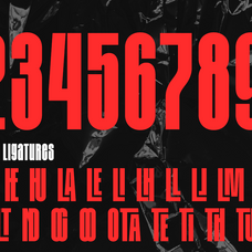 kalina-ultra-condensed-font-say-studio-11.png