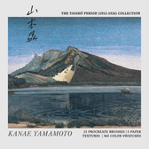Kanae Yamamoto Procreate Kit