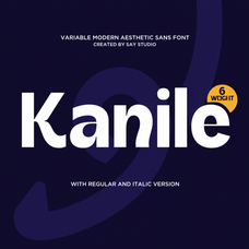 kanile-family-aesthetic-sans-serif-font-say-studio-1.png