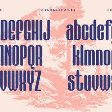 Kathalog - Modern Condensed Sans Serif Font by Say Studio, preview 11
