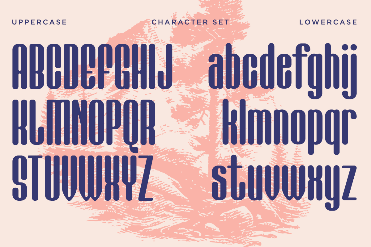 Kathalog - Modern Condensed Sans Serif Font by Say Studio, preview 11
