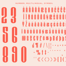 Kathalog - Modern Condensed Sans Serif Font by Say Studio, preview 13