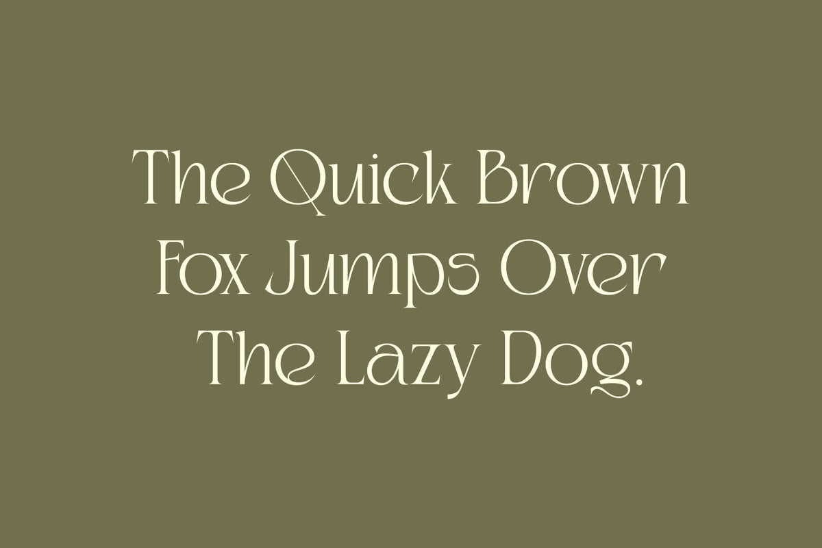 kaviera-modern-stylish-serif-font-unknown-creator-14.jpg