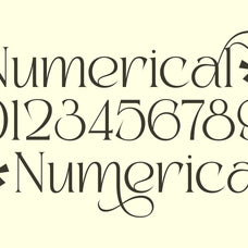 kaviera-modern-stylish-serif-font-unknown-creator-8.jpg