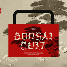 kaze-japanese-stylish-typeface-font-vadova-studio-8.jpg