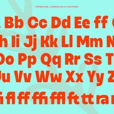 kefari-bold-rounded-sans-serif-font-say-studio-9.png
