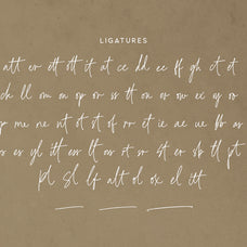 kelly-blossom-ligature-script-sarid-ezra-11.jpg