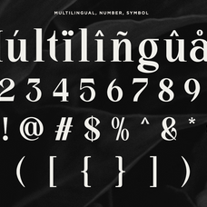 kinder-land-stylish-serif-font-say-studio-11.png