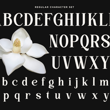 kinder-land-stylish-serif-font-say-studio-9.png