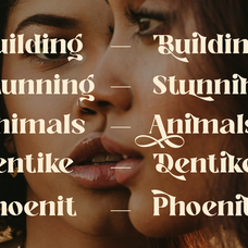 kinder-stylish-bold-serif-font-say-studio-3.png
