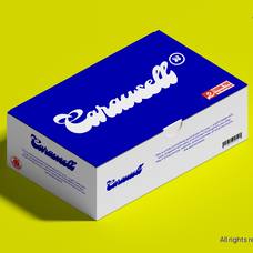 kolta-chunky-script-jolicia-type-11.png